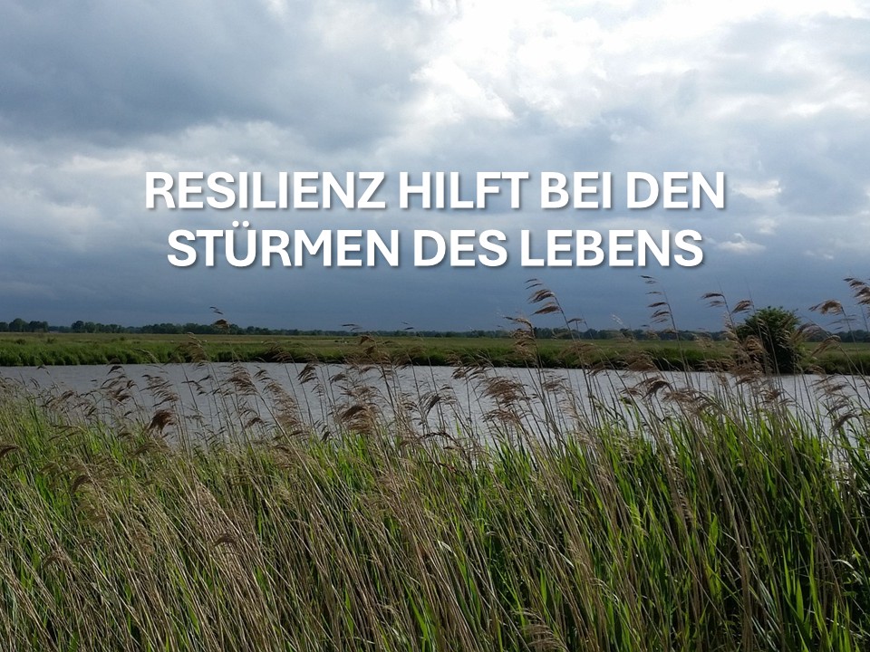 Ein See, stürmische Wolken und im Vordergrund Schilfgras, das sich im Wind biegt.